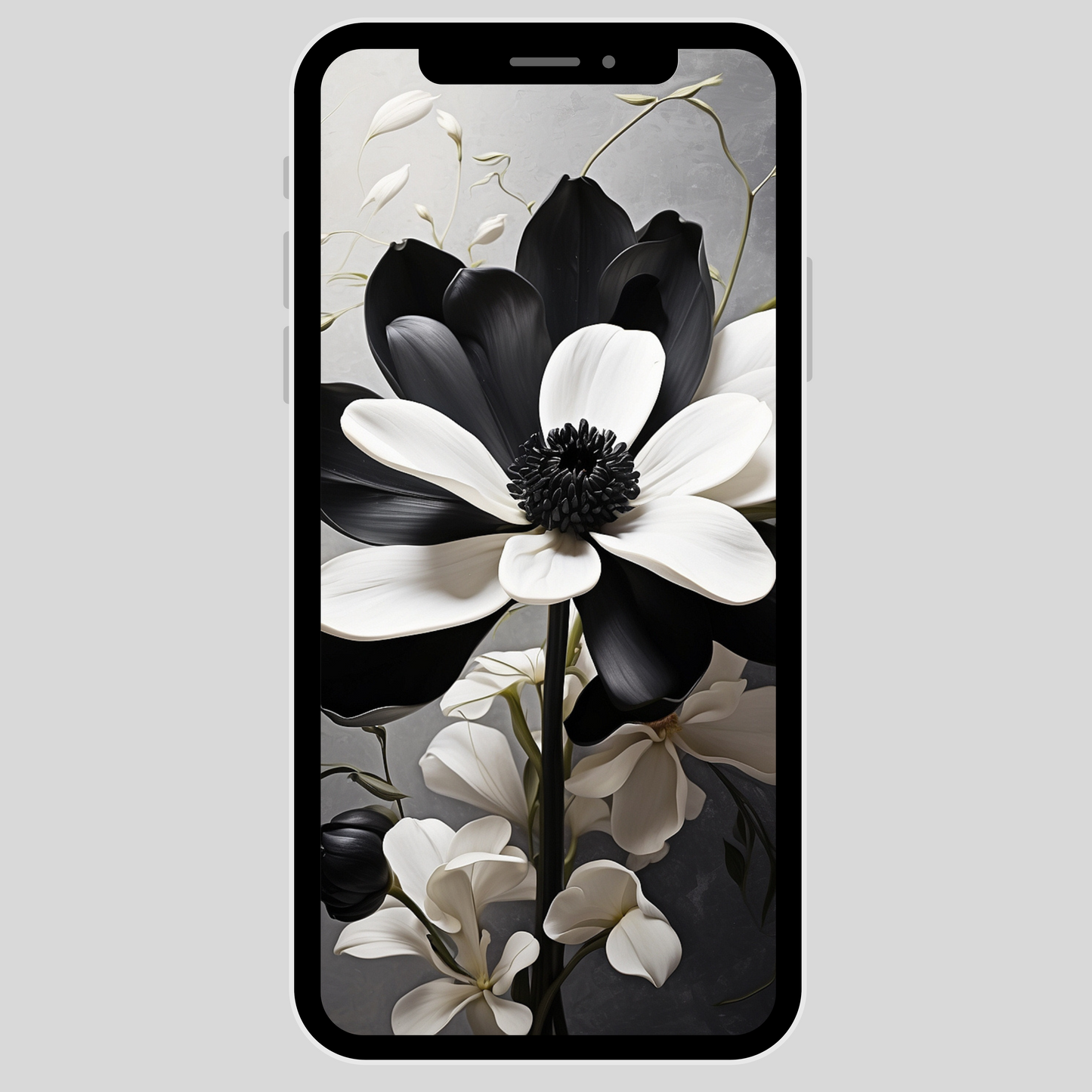 IPhone wallpaper/ Classic 3D black & white flower petal
