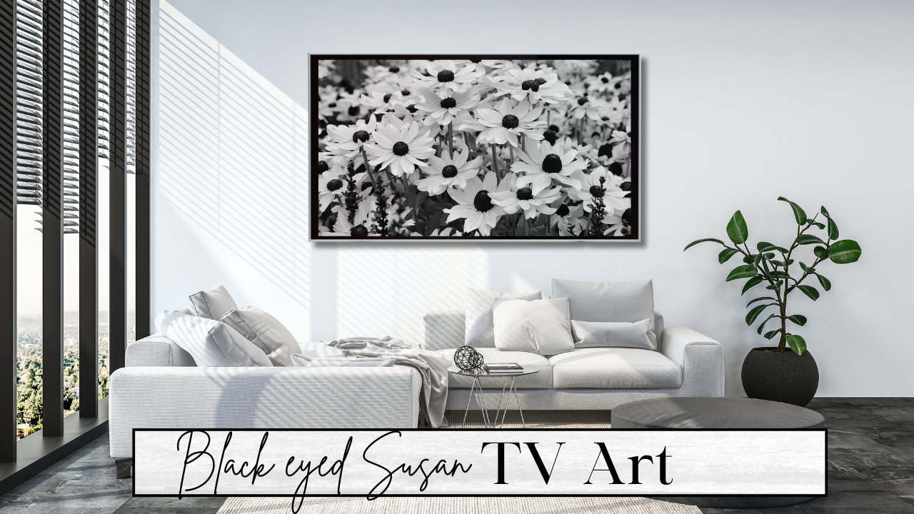 Black eyed Susan digital TV Art wall art