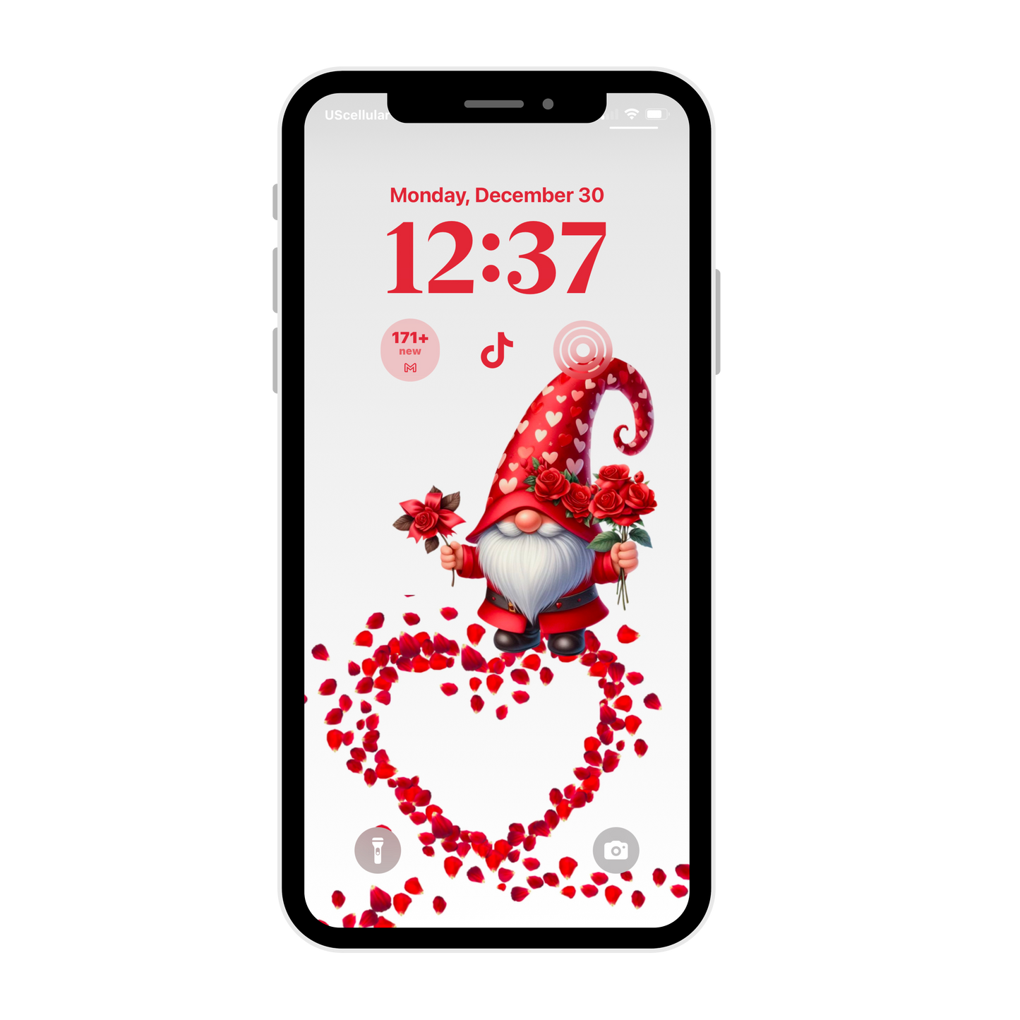 Valentines accessories-cute,flowers Gnome-iPhone wallpaper iPhone lock screen art digital download